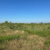 New Listing 10.5 Acres Tract 20 Shackelford County images 3