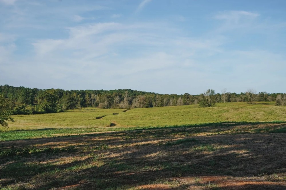 Parish Line South 65 featured image