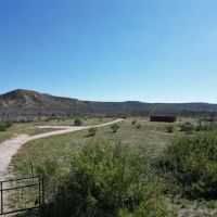 Price Reduction 32.22 Acres Taylor County images 2