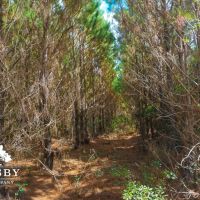 Treadwell images 5