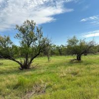 New Listing 21 Acres Tract 18 Shackelford County images 3