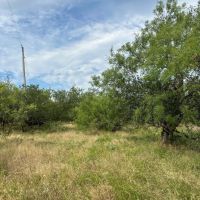 New Listing 21 Acres Tract 18 Shackelford County images 5