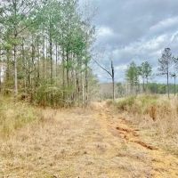 53 Acres Walthall Co. Salem School District images 5