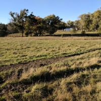 1024 Acres of River Hills Prime Whitetail and Mule Deer Hunting with Turkey, Pheasant, Prairie Dog,