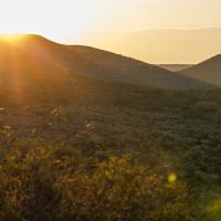 Long Hollow Ranch images 3