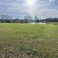 Pastureland for Sale in Kentwood LA images 2
