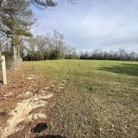 Pastureland for Sale in Kentwood LA images 3