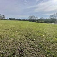 Pastureland for Sale in Kentwood LA images 4