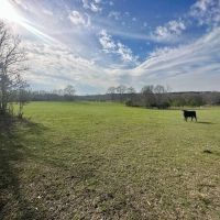Pastureland for Sale in Kentwood LA images 5