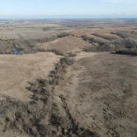80 Acre Hunting Tract with CRP Ground for Sale Mercer County images 2