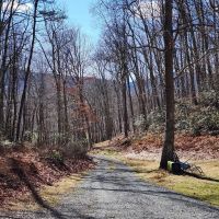 30 acres of Hunting Land with Cabin For Sale in Highland County VA images 5