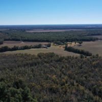 Mercer Ranch South - Lodge and 920 Acres High Fence Hunting images 3