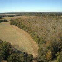 Mercer Ranch South - Lodge and 920 Acres High Fence Hunting images 4