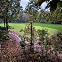Patrey Branch Hunting Land