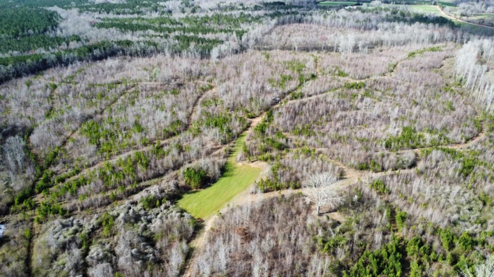 Caty Creek 120 ac Chambers Co. featured image