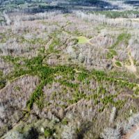 Caty Creek 120 ac Chambers Co. images 2
