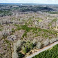 Caty Creek 120 ac Chambers Co. images 3