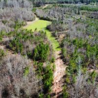 Caty Creek 120 ac Chambers Co. images 5