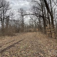 000 Eastman Road GORHAM IL 62940 images 4