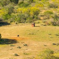 Llano Vista Ranch images 5