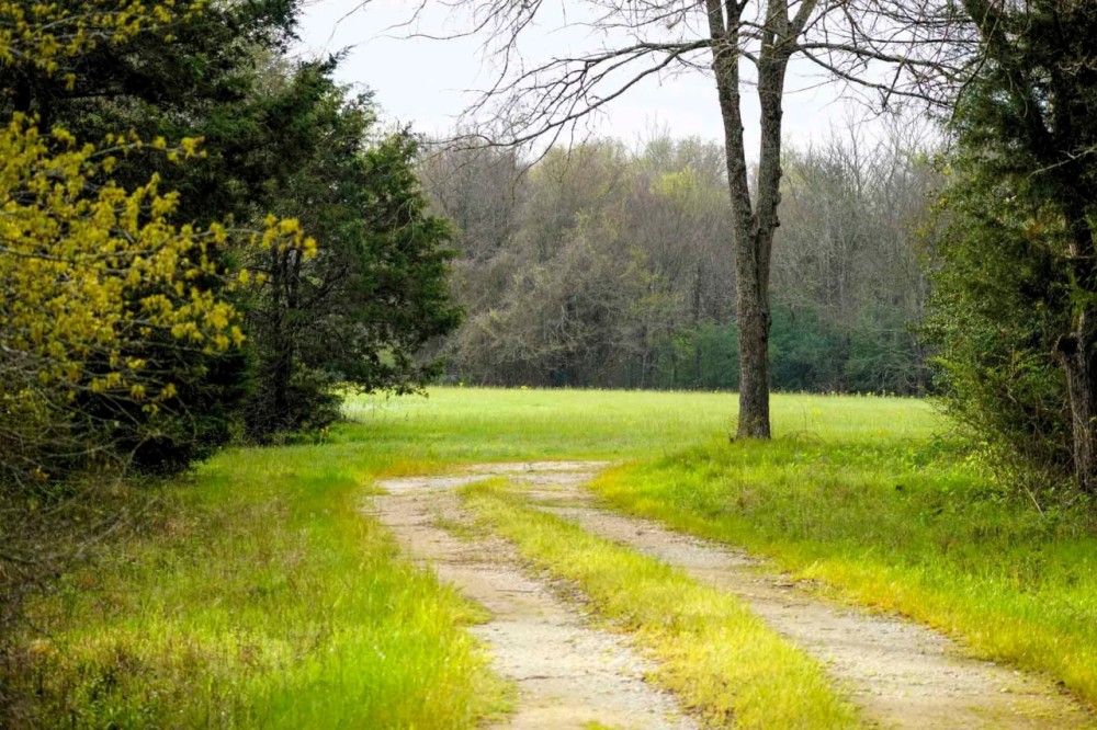 Melton Branch Ranch featured image