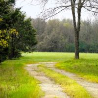 Melton Branch Ranch