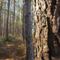 108 Acres CR 3100 images 5