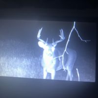 Vinton County Hunting Lease