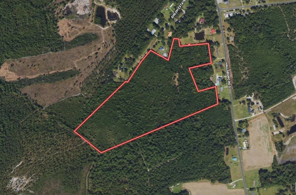 32.70 acres of Recreational and Hunting Land For Sale in Columbus County NC featured image