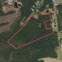 32.70 acres of Recreational and Hunting Land For Sale in Columbus County NC