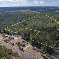 32.70 acres of Recreational and Hunting Land For Sale in Columbus County NC images 2