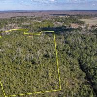 32.70 acres of Recreational and Hunting Land For Sale in Columbus County NC images 4