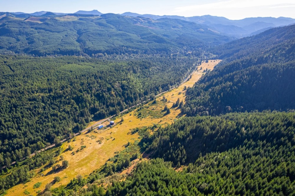 Layng Creek Rd. Dorena OR featured image