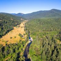 Layng Creek Rd. Dorena OR images 3