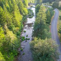 Layng Creek Rd. Dorena OR images 5