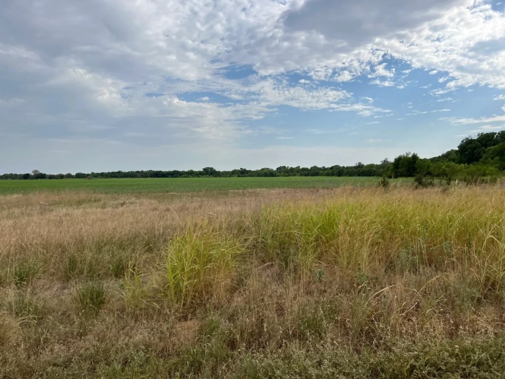 KS - Harper 940 acres - featured image