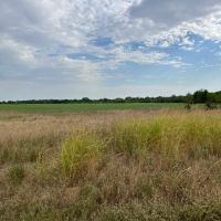 KS - Harper 940 acres -
