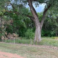 KS - Harper 940 acres - images 2