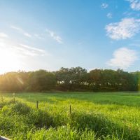 Seguin Guadalupe River Ranch images 5
