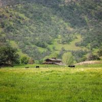 D-K Ranch images 4