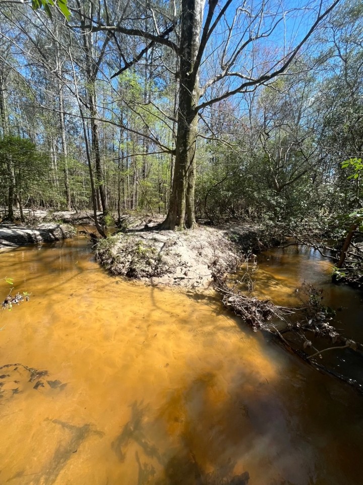 76 -acres Monroe Co featured image