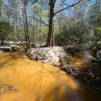 76 -acres Monroe Co images 1