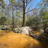76 -acres Monroe Co images 2