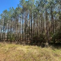 76 -acres Monroe Co images 3