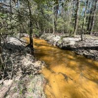 76 -acres Monroe Co images 4