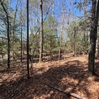 76 -acres Monroe Co images 5