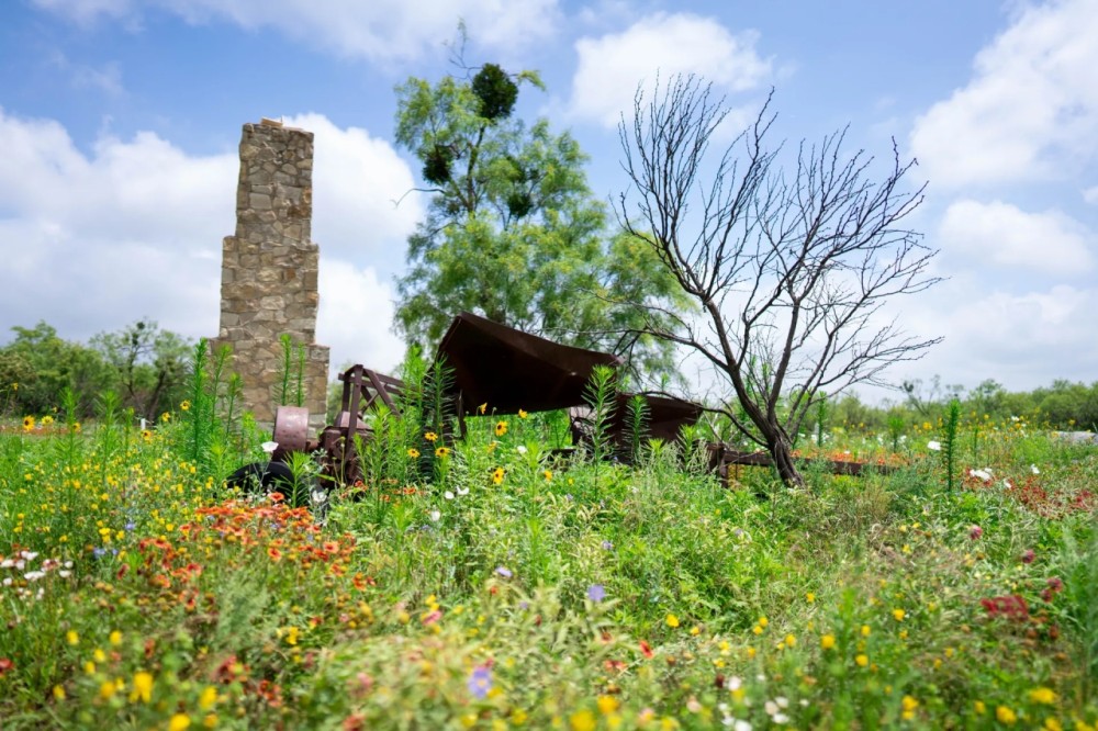 Sweetwater Oak Ranch featured image