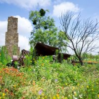 Sweetwater Oak Ranch