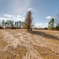 37 acres COLDWATER CREEK ROAD images 4