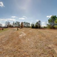 37 acres COLDWATER CREEK ROAD images 5
